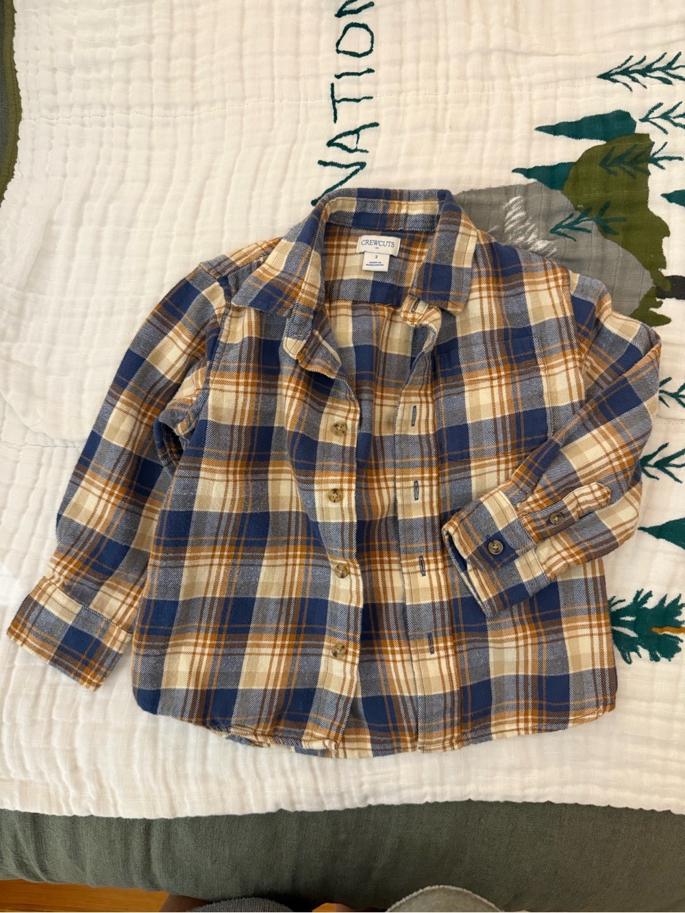 Crewcuts Plaid Button-Down Shirt in Blue and Brown